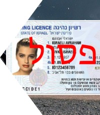 disqualification-from-driving